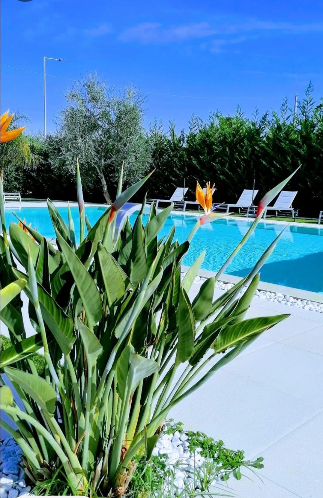 Homestay Relais Ottavia